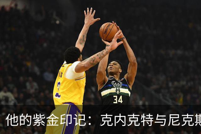 他的紫金印记：克内克特与尼克斯的全新篇章